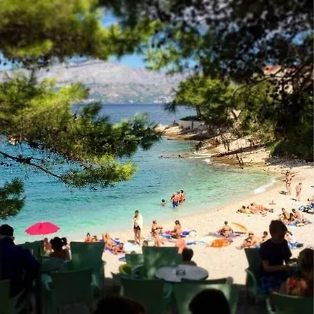 بيت للعطل Dena With Swimming Pool *
